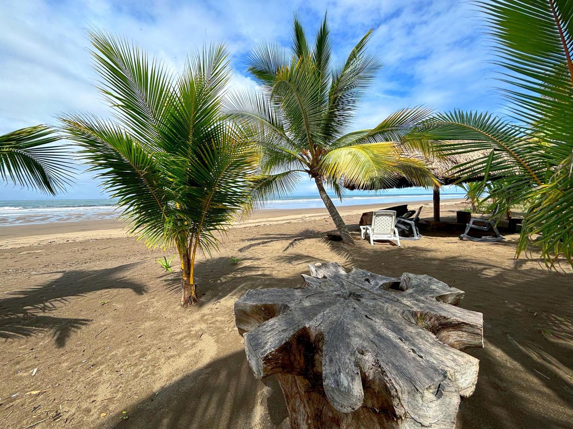 Royal Palm Retreat Apartment Cabrera Luaran gambar