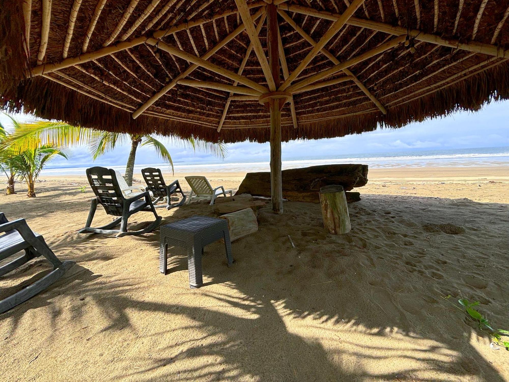 Royal Palm Retreat Apartment Cabrera Luaran gambar