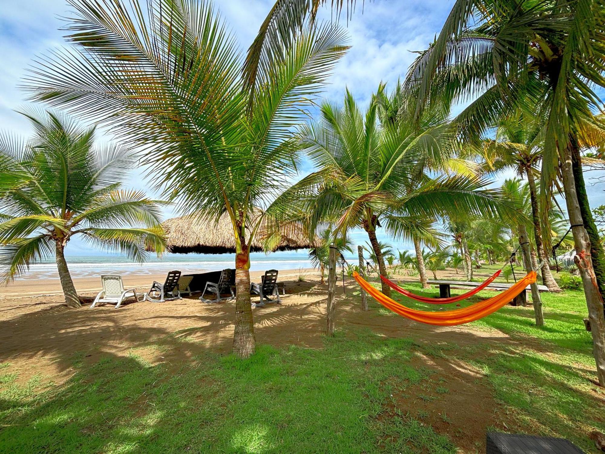 Royal Palm Retreat Apartment Cabrera Luaran gambar